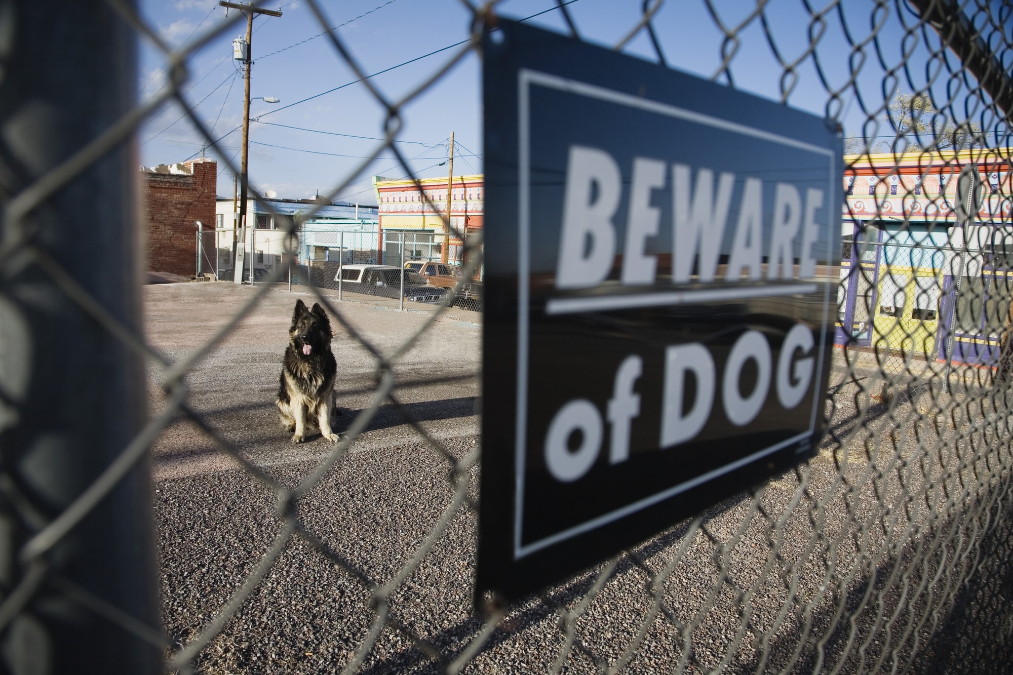 dog bite lawyer New Haven, CT