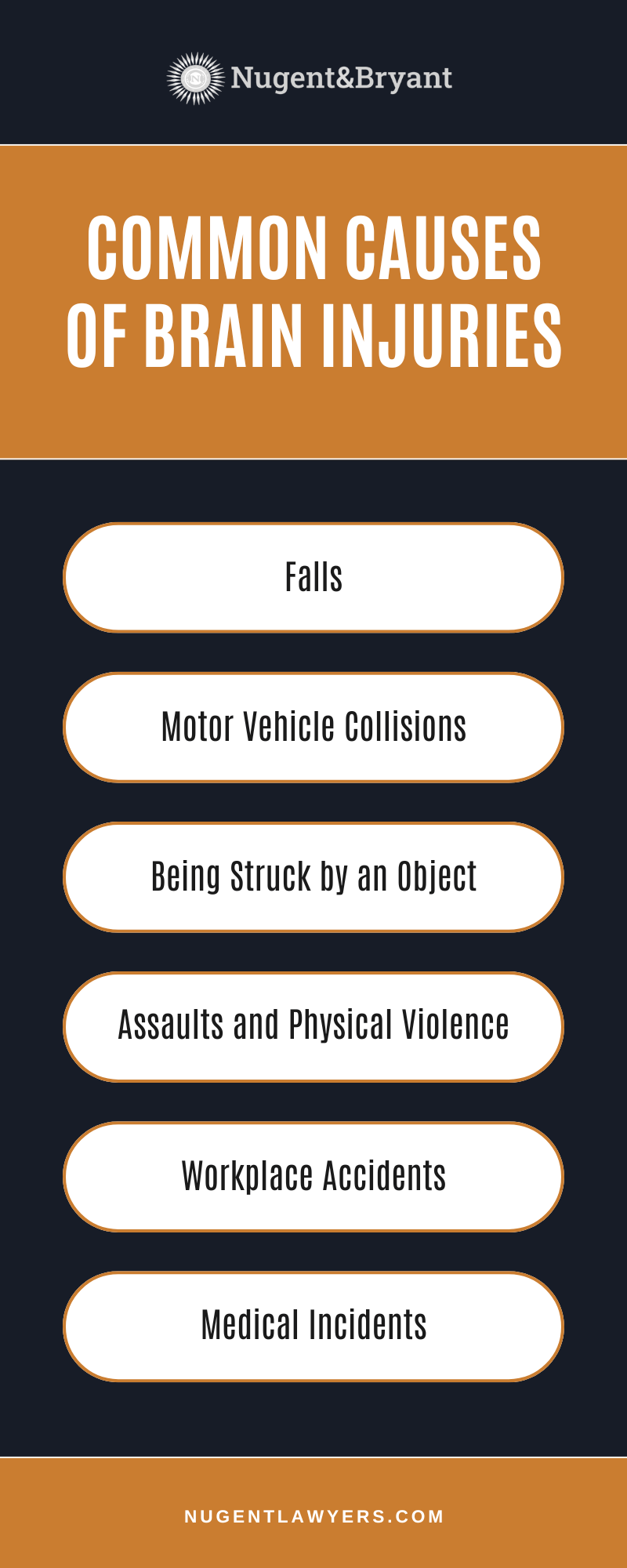 Common Causes Of Brain Injuries Infographic