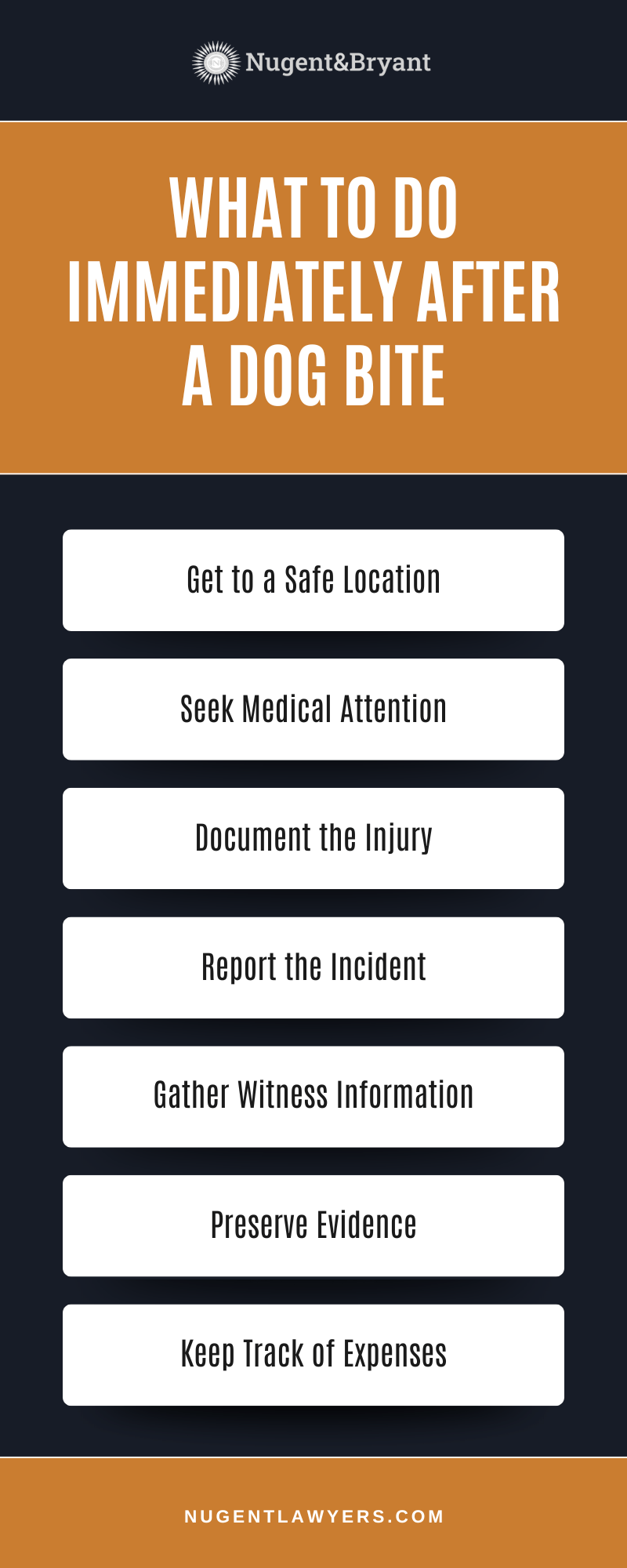 dog bite lawyer New Haven, CT  Infographic